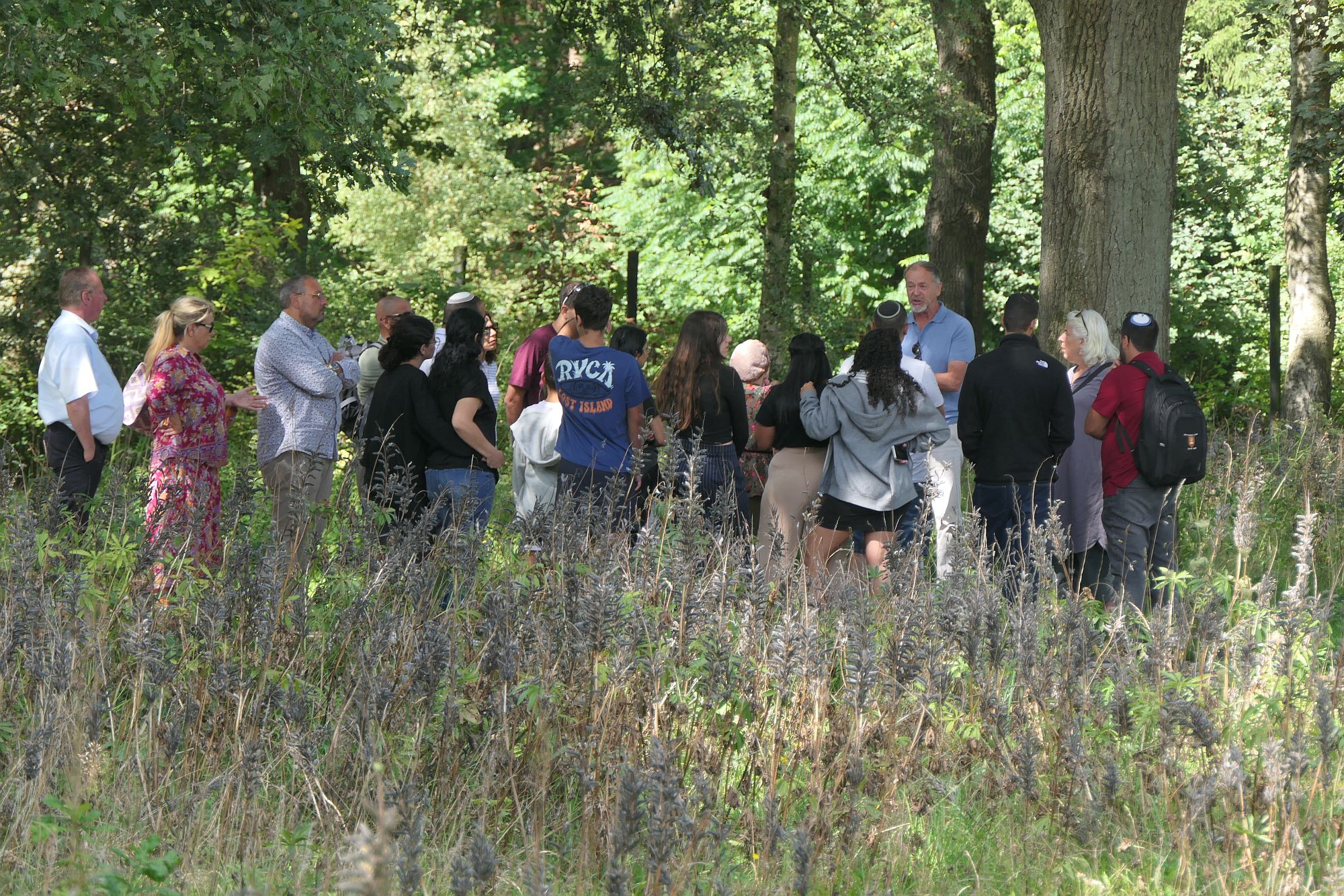 Sinti en Roma rondleidingen